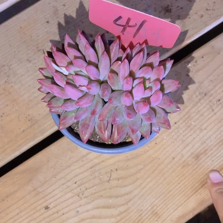 +***+这么久没有这么晚回家