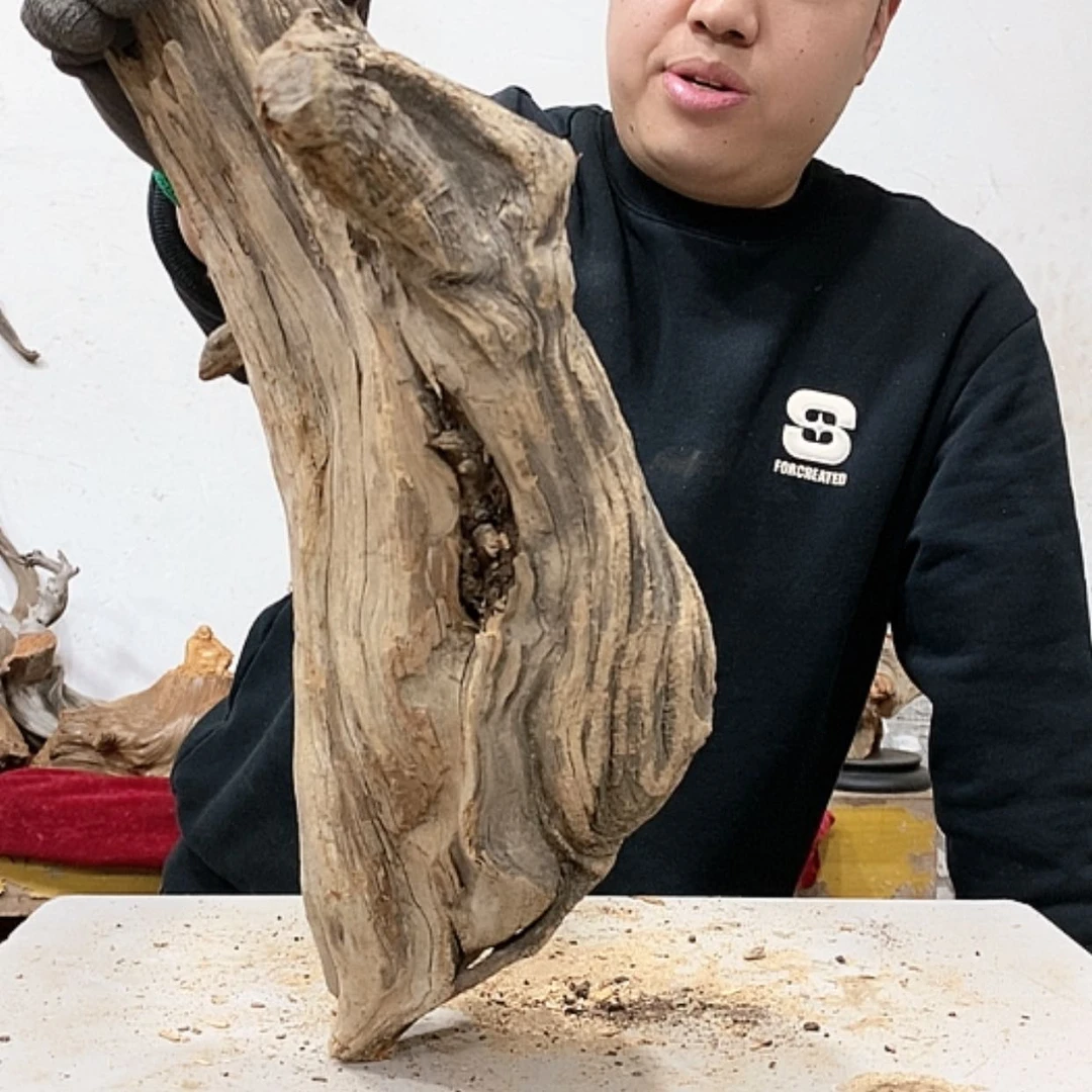 【闪购商品】柏木展****）我们都是好孩子