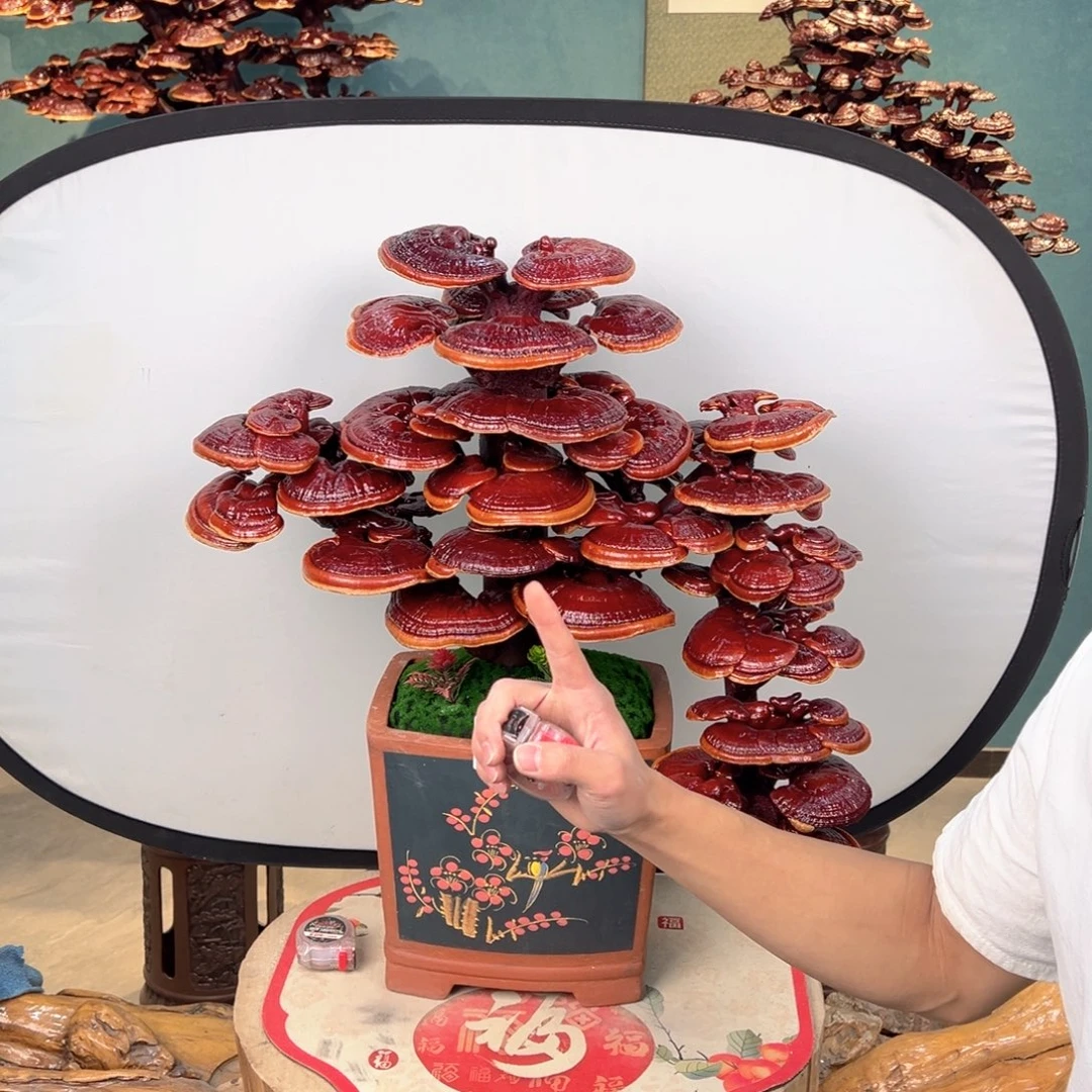 无花朵8888888888888