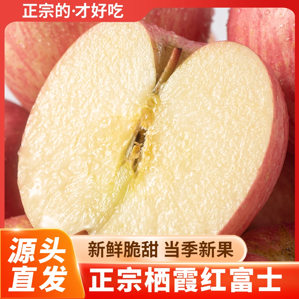 山东烟台栖霞红富士苹果2025新果脆甜水果产地直发5斤装
