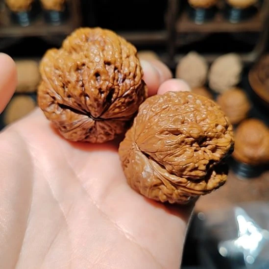 地***一文玩核桃把件金蟾王