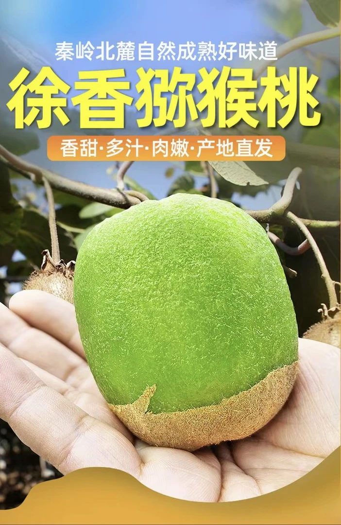 正宗陕西徐香猕猴桃奇异果新鲜维C水果 绿心奇异果香甜多汁