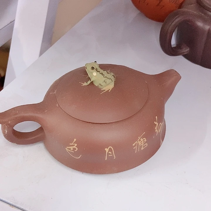 紫砂茶杯宜兴紫砂手工紫砂茶壶