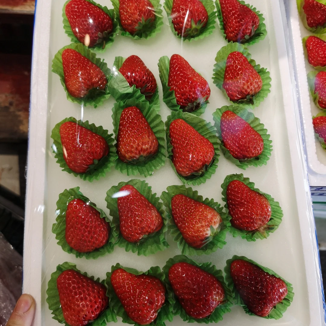 丹东九九草莓一盒750克99草莓