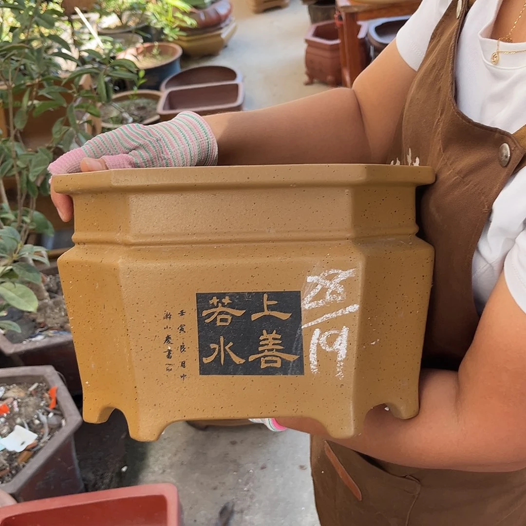 紫砂花盆盆景艺术