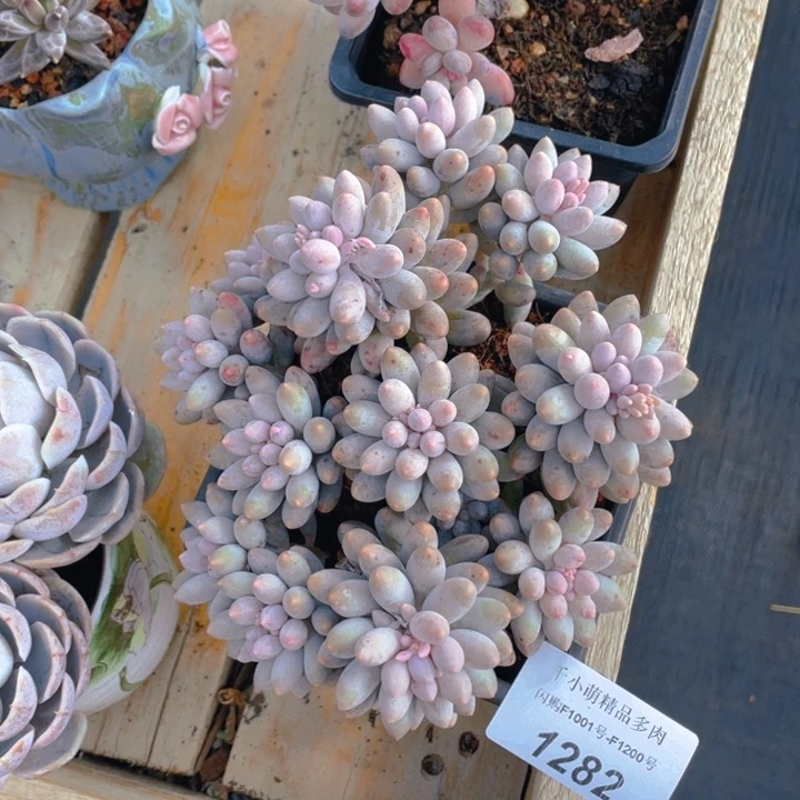 谢谢你的支持000001282