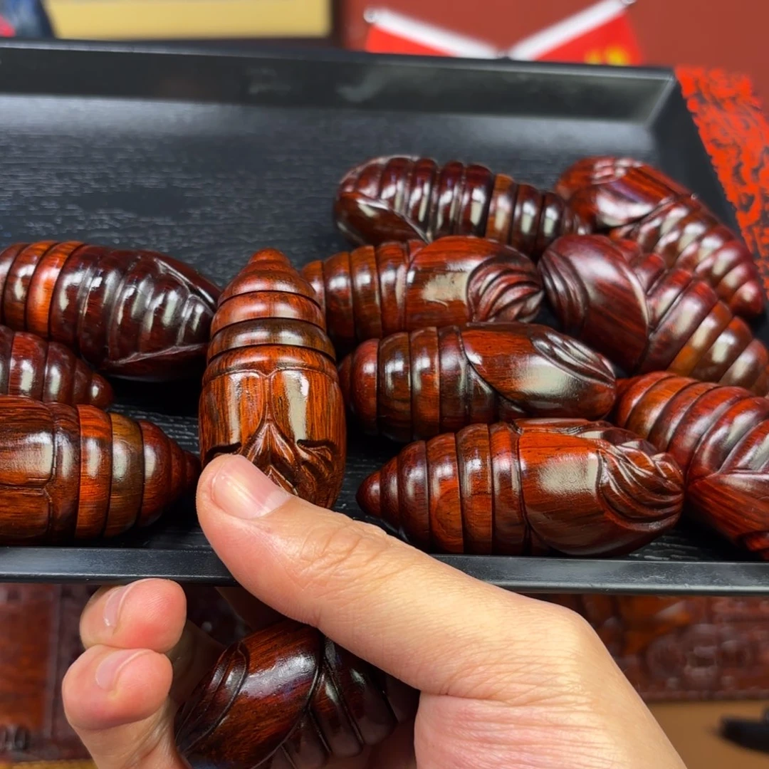 檀香紫檀（小叶紫檀）蛹