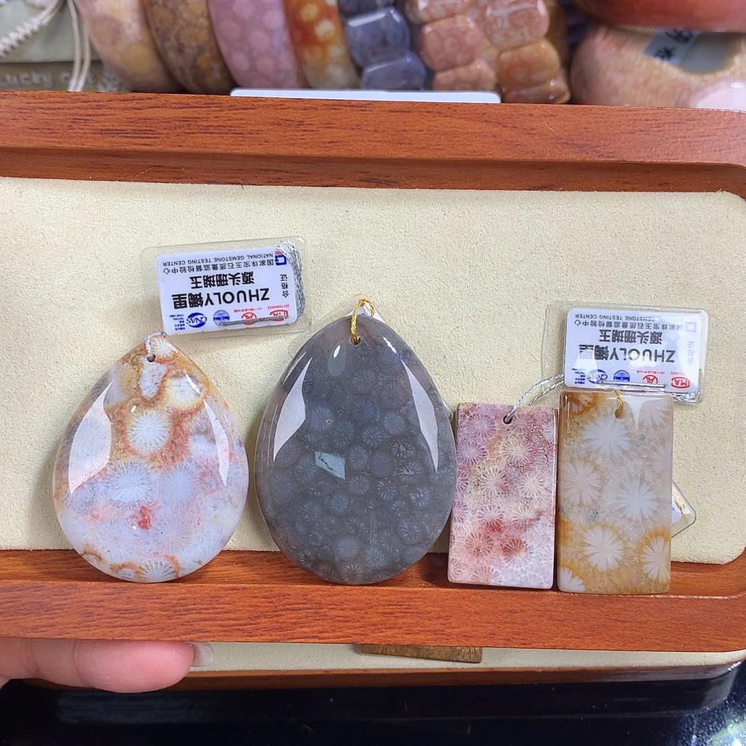 吊坠(赠链)未镶嵌硅化珊瑚（珊瑚玉）18号吊坠50漏30米一个可挑哦