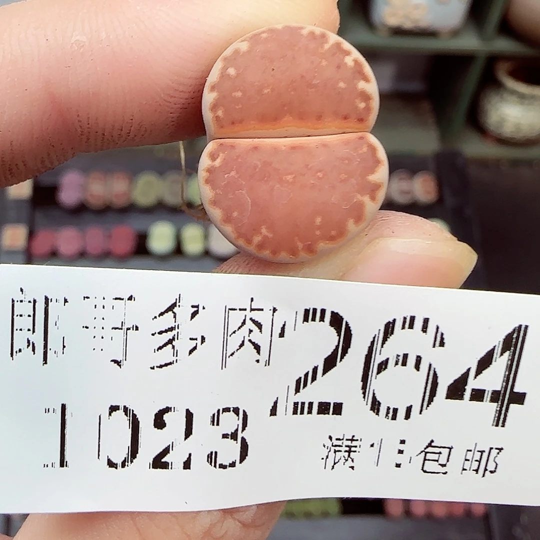 C****满满18包邮1023-264