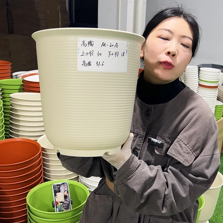 正品高陶口30高31米色3支无托