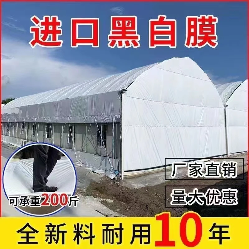 韩亚进口黑白膜加厚养殖大棚黑白膜反光隔热膜防晒塑料布食用菌