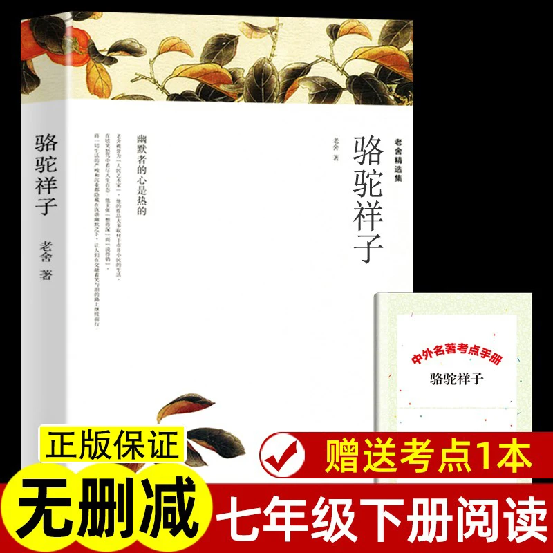 赠考点 骆驼祥子原著正版 老舍著七年级下册必名著课外书初一阅读