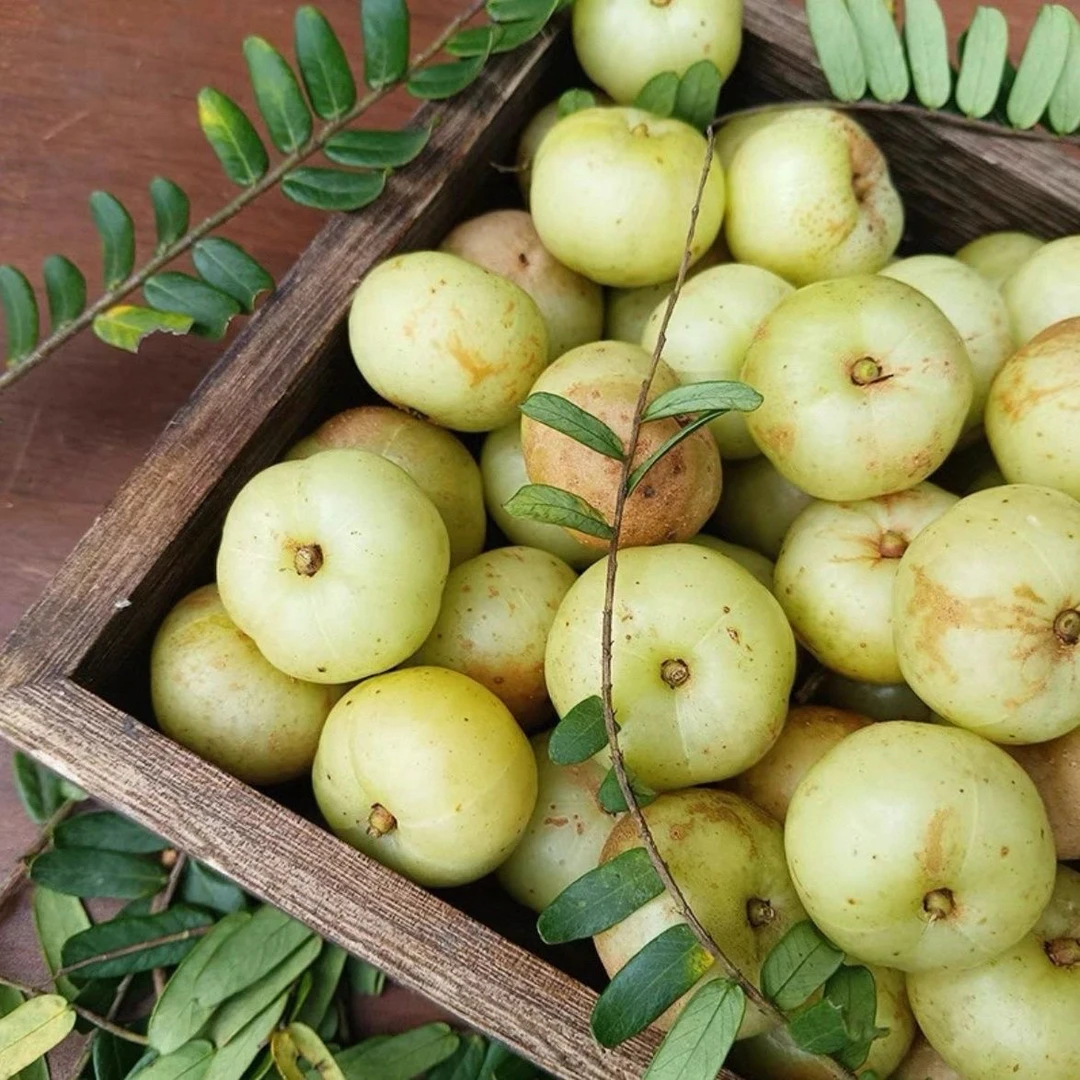 自家果园原味柿饼橄榄油甘果脆爽回甘1斤装大概50个左右