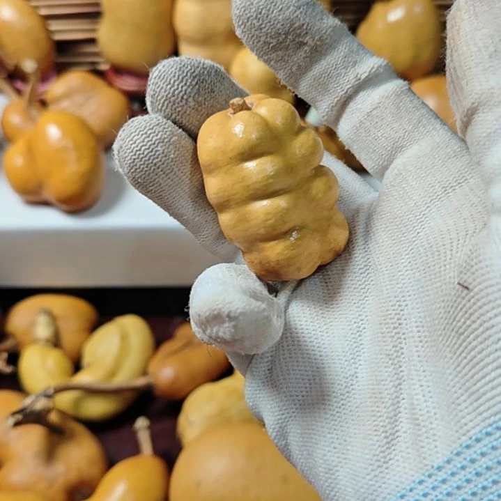 她***姐精品土豆葫芦一物一拍