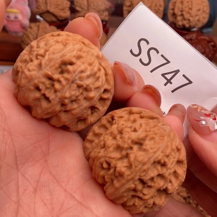 文玩核桃把件原桩原型白狮子40