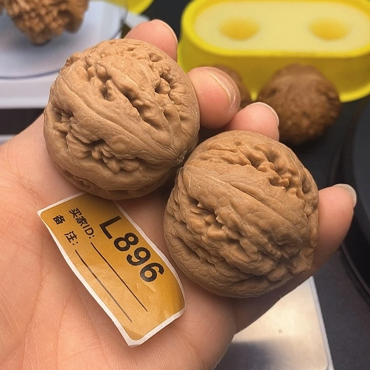 文玩核桃把件霸王龙4.2