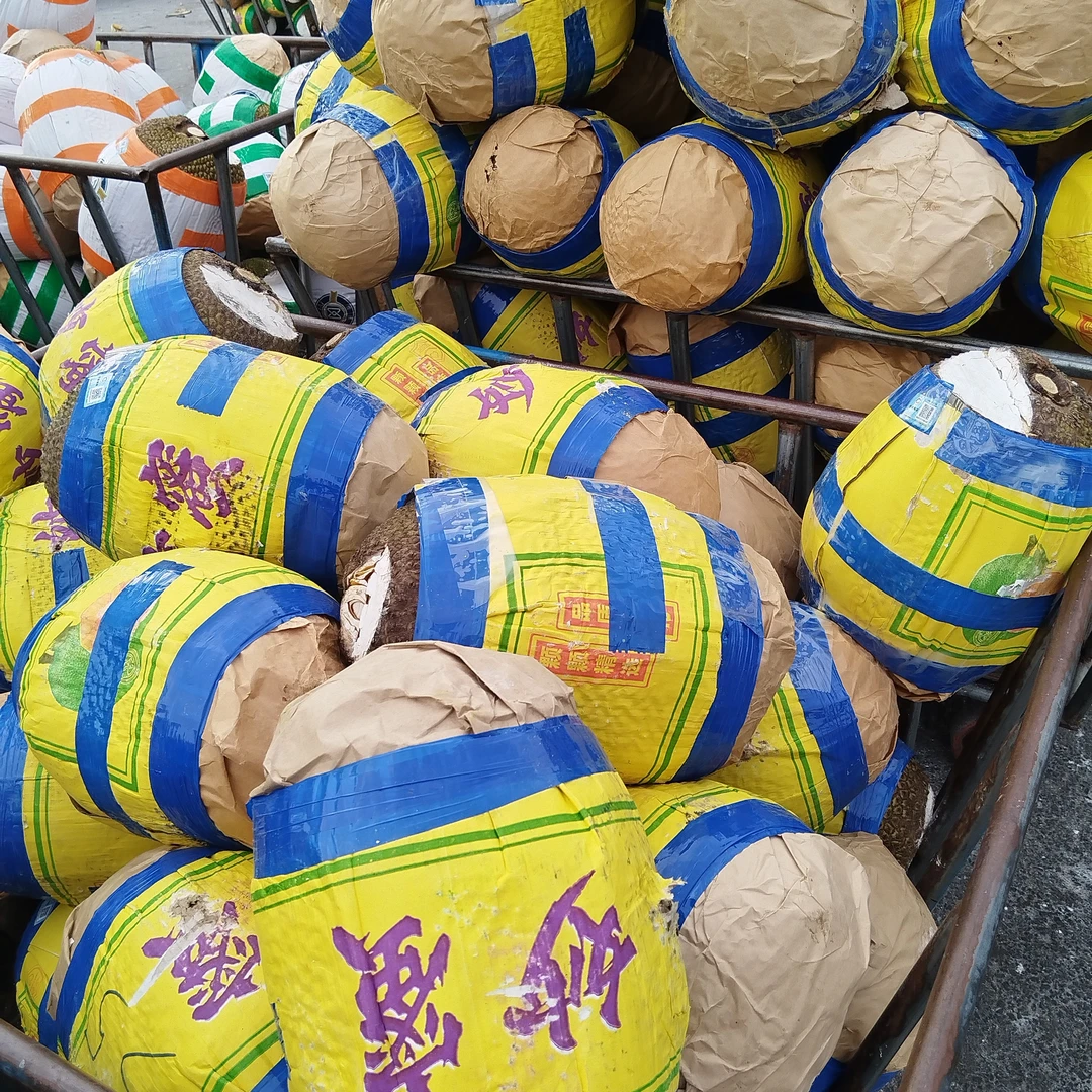 菠萝蜜净重12斤京东送货