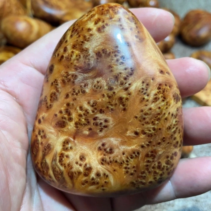 柏木（崖柏）其他把