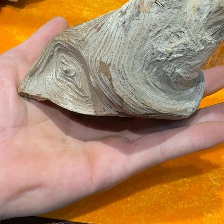 笑***路柏木（崖柏）好喜欢你这个造型诶小女孩真的超级