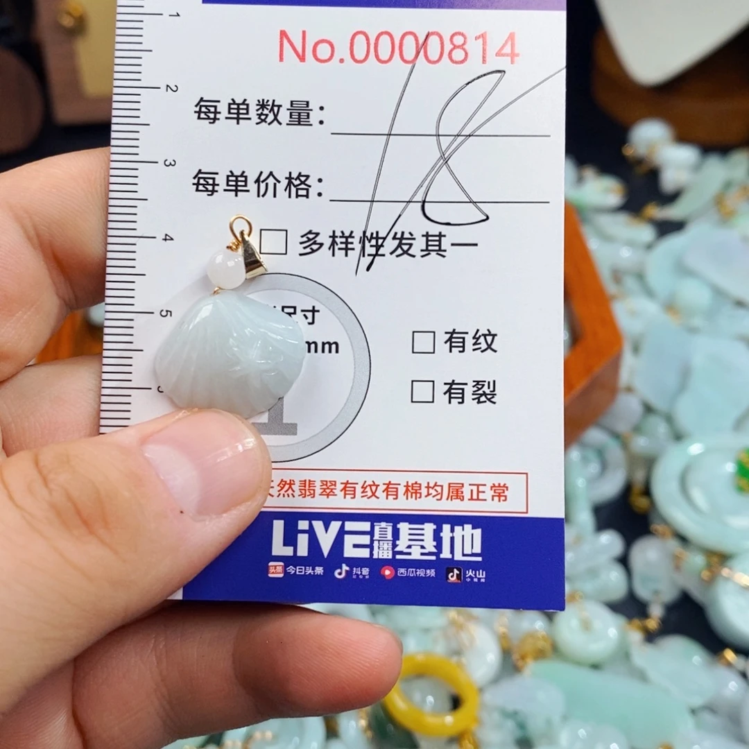 翡翠未镶嵌颈饰814