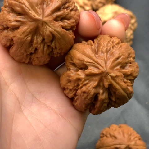 文玩核桃吊坠霸王龙