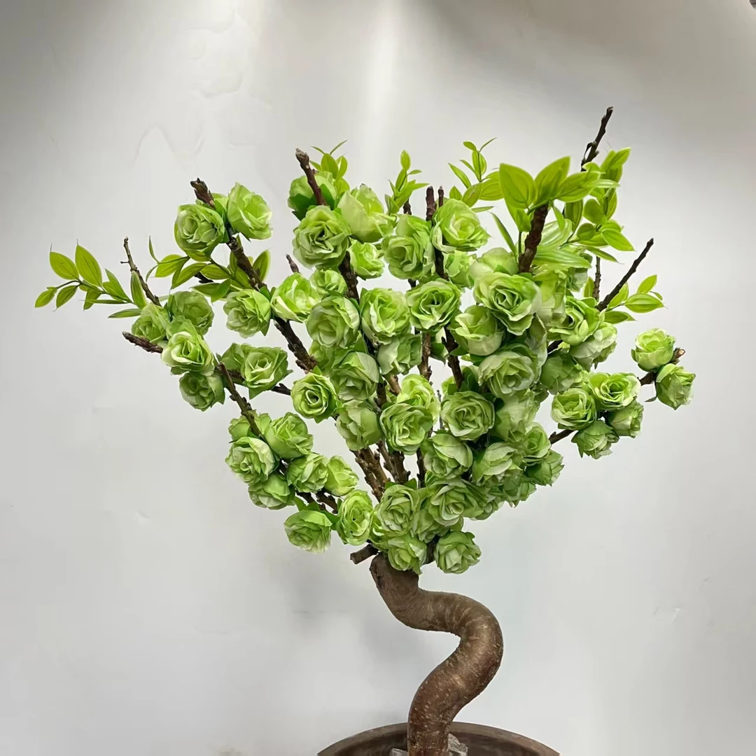 盆景翠玉寿星梅带花苞重瓣老桩桃梅室内外庭院南北方