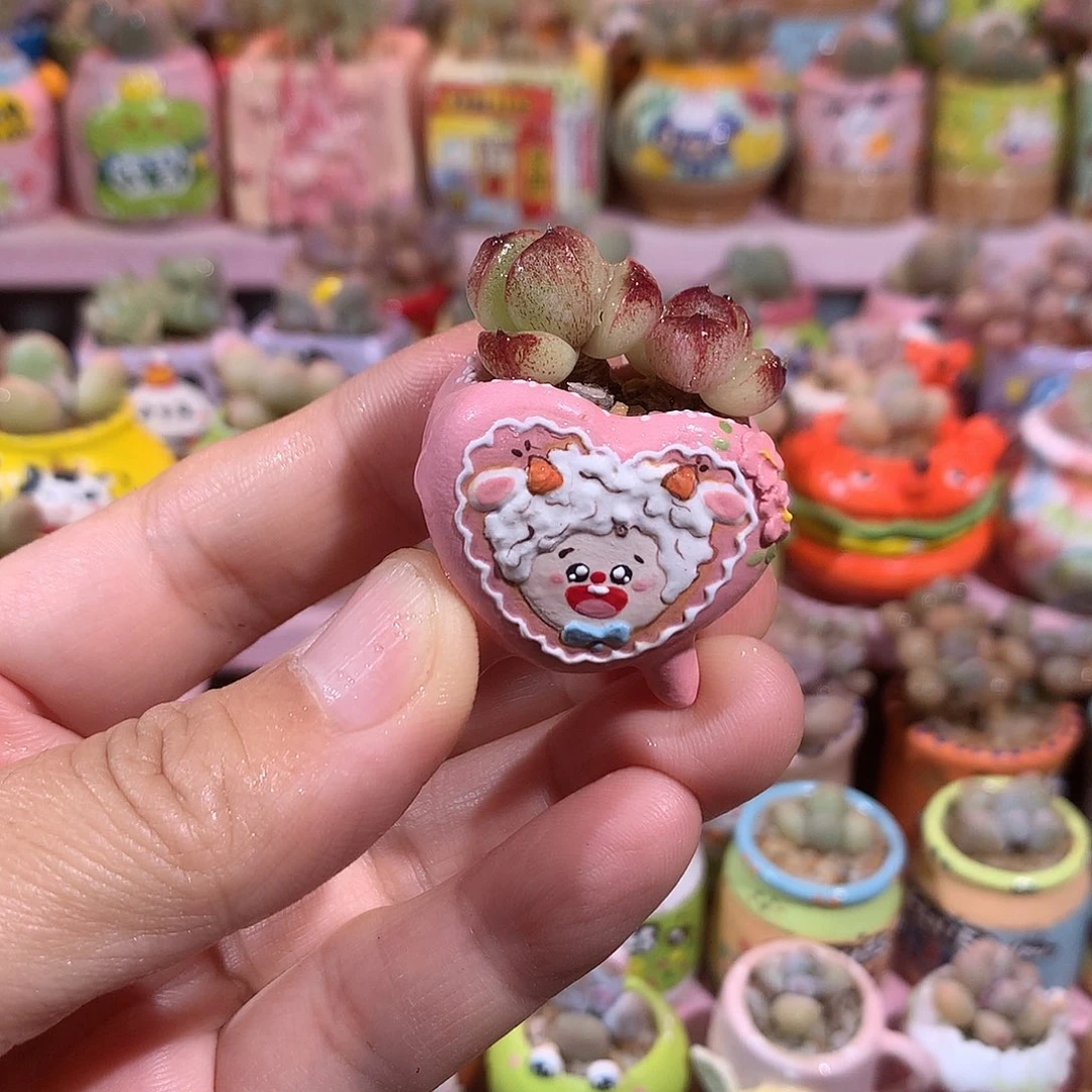 暗黑玫瑰带盆  满100包邮