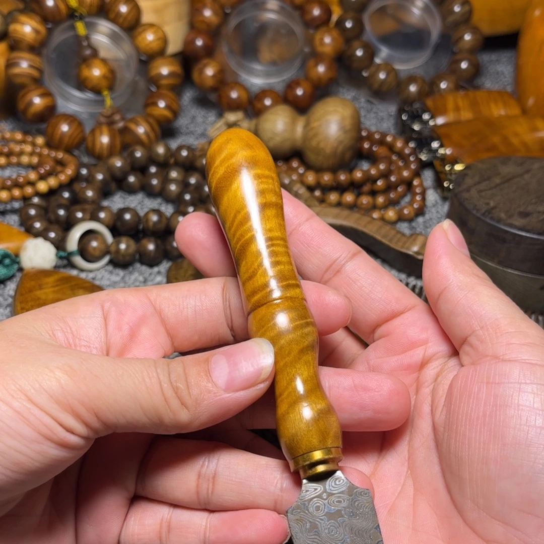 金丝楠茶刀小叶桢楠