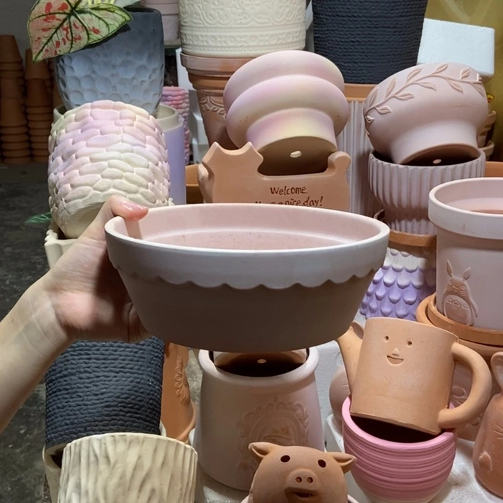 20×7雾化花边盆1个
