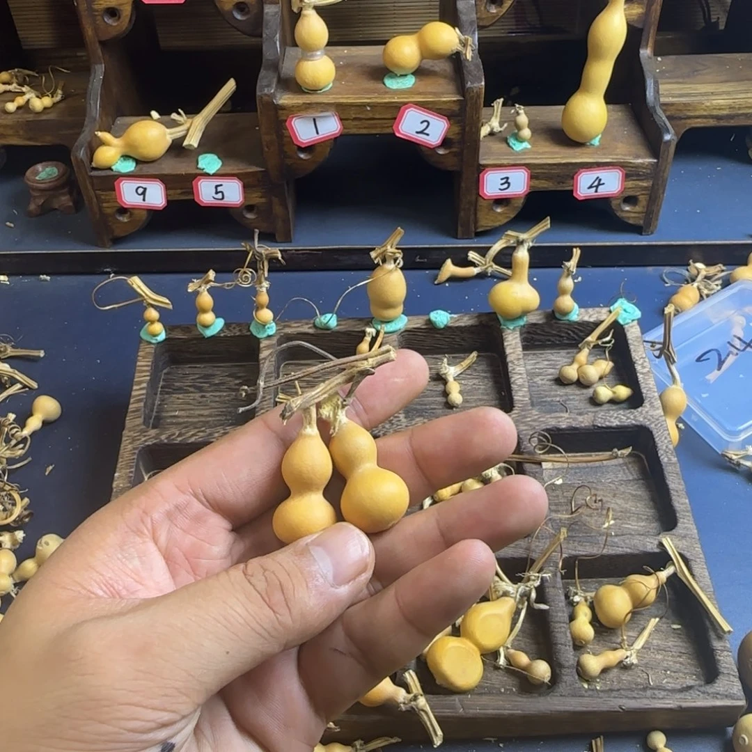 牙*匠我也是很喜欢这个节目的呢我们