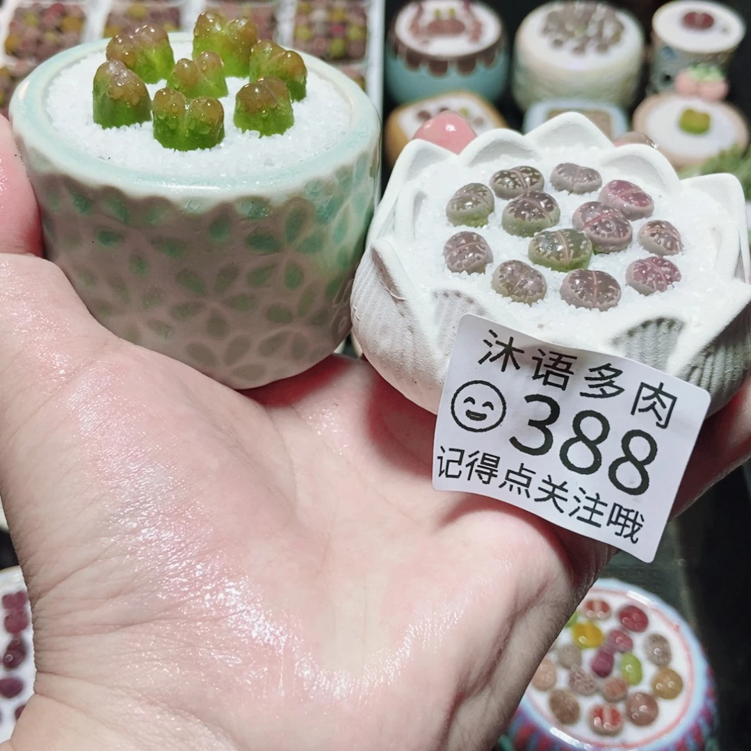 一物一拍 所见即所得388