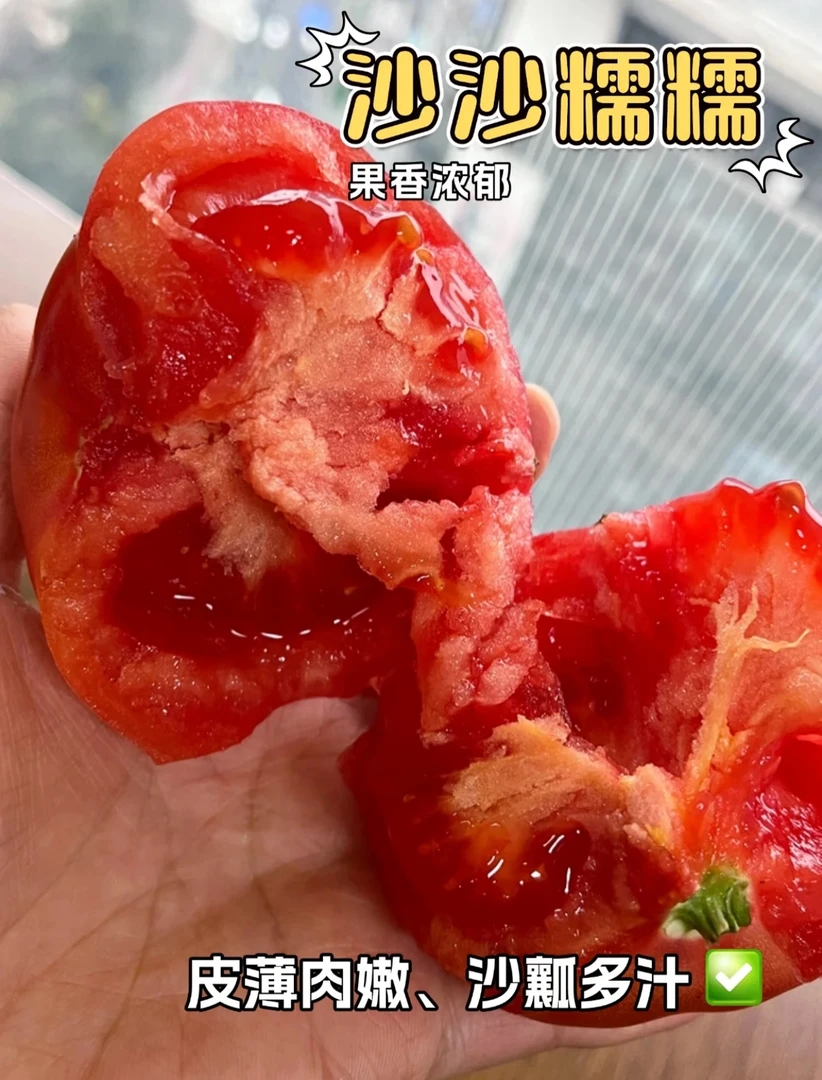 （助农）新疆本土种植富硒西红柿新鲜应季可当水果吃的水果蔬菜沙瓢