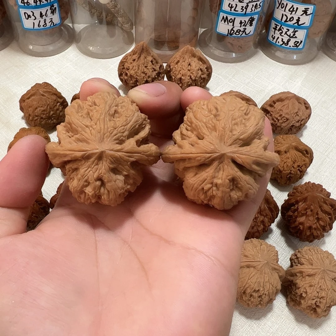 D04号文玩核桃46尺大粗筋