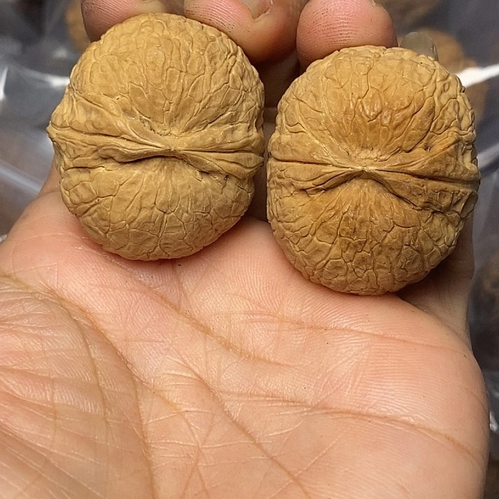 文玩核桃把件云南铁核桃50