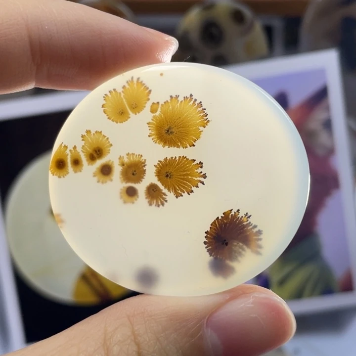 玛瑙/玉髓未镶嵌牌子