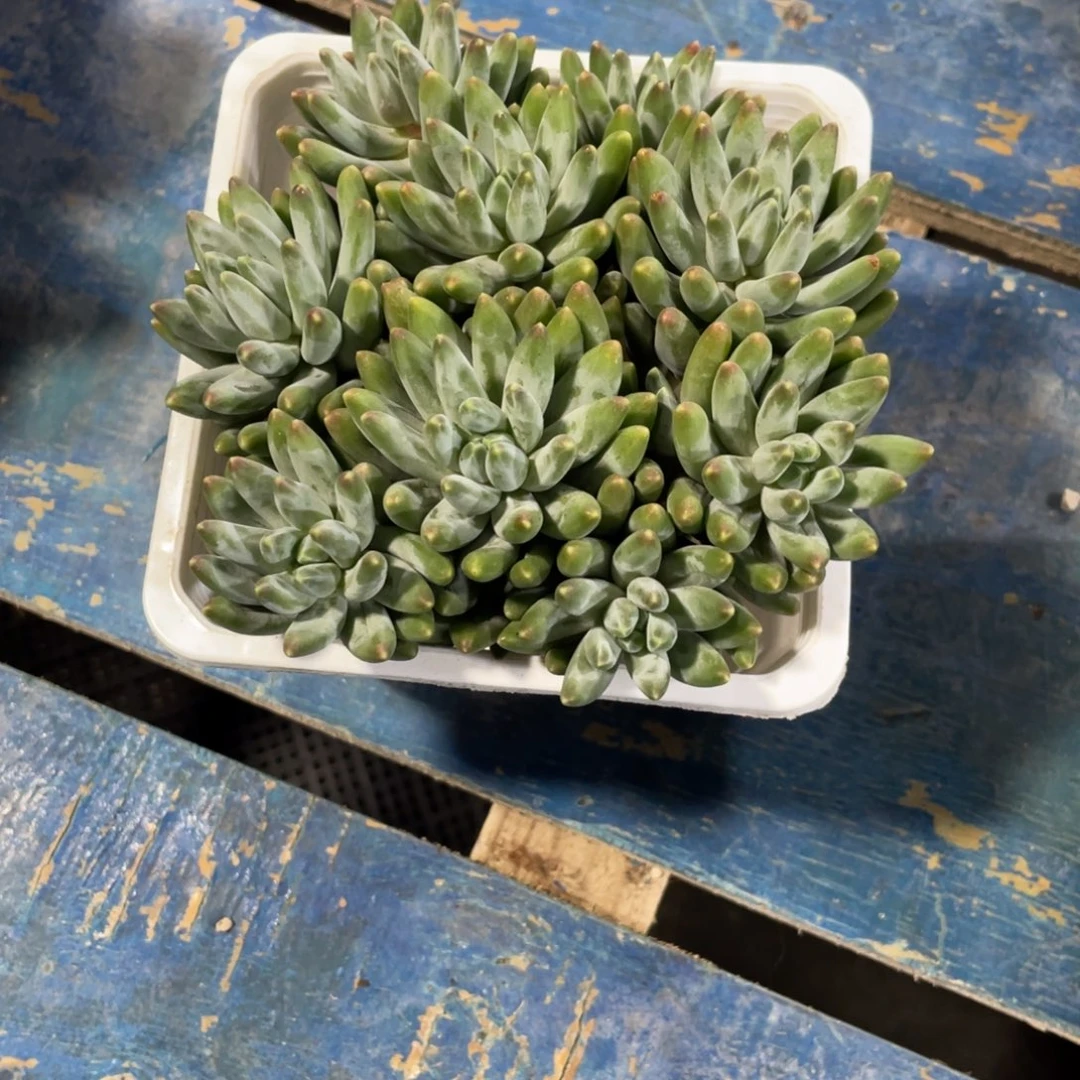 F***～一物一拍中通快递