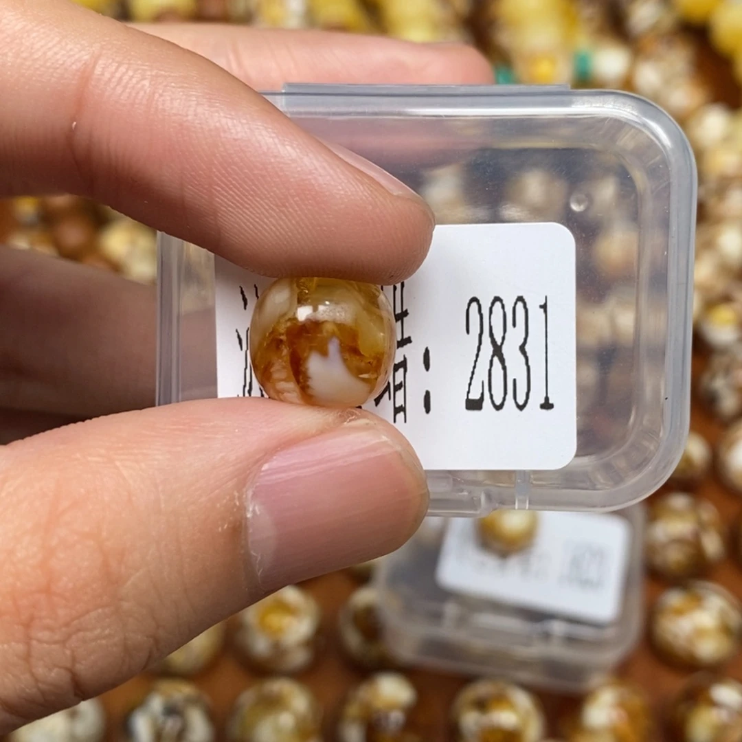 万****沁色蜜蜡未镶嵌2831