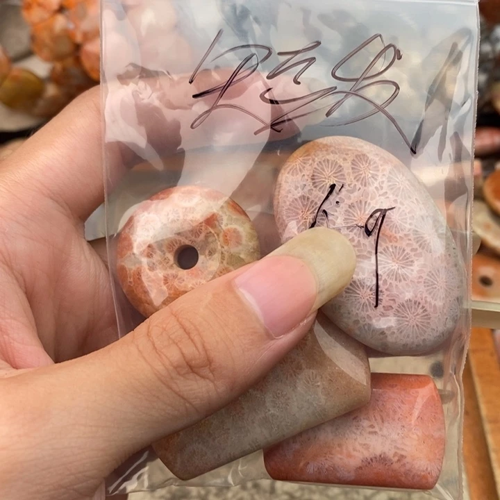 短***发颈饰未镶嵌硅化珊瑚（珊瑚玉）