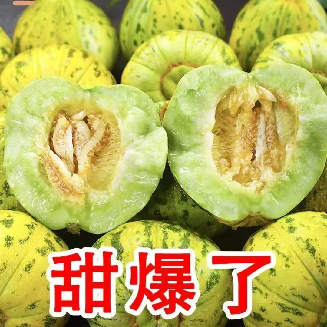 山东花美人甜瓜花仙子甜瓜花蕾甜瓜应季水果现摘现发脆甜