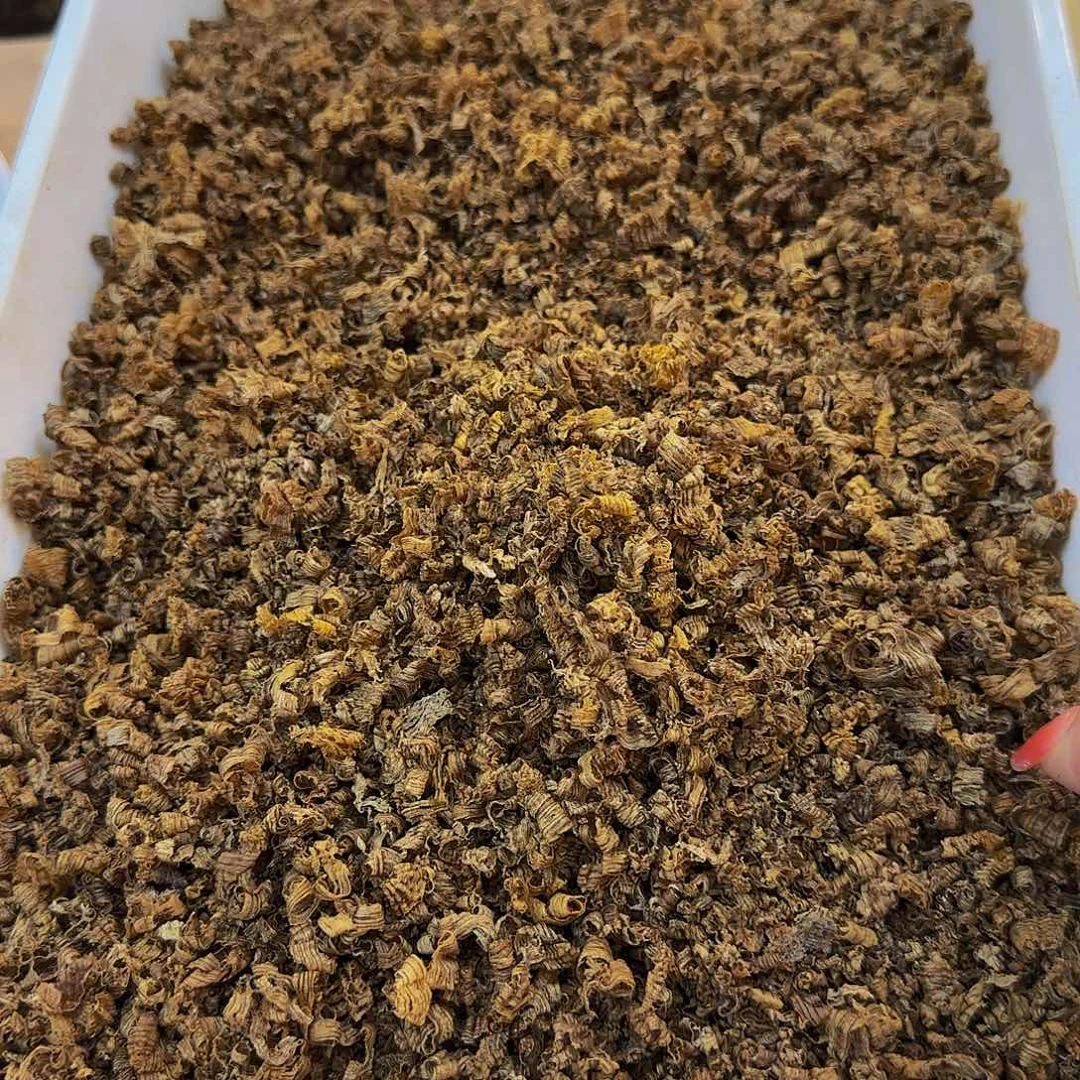 沉香沉香木制品海南野生黄棋勾丝10克多样性发其一