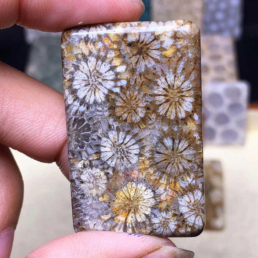 硅化玉珠宝奇石合金难**猫