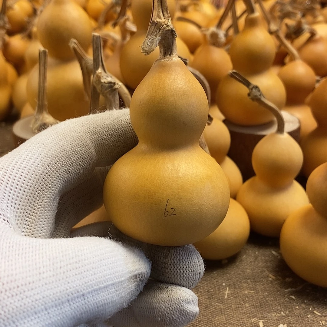 文玩葫芦 完美主义者 慎拍62