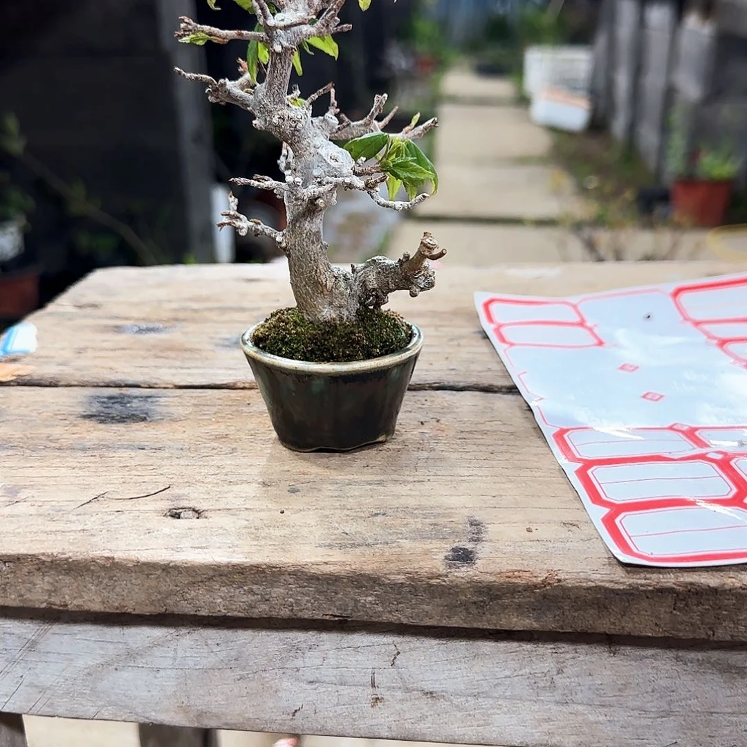 大****彬11111111111111