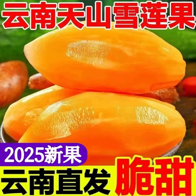 【2025年头茬新果】云南特产天山雪莲果2-9斤 清甜多汁当季现挖水果