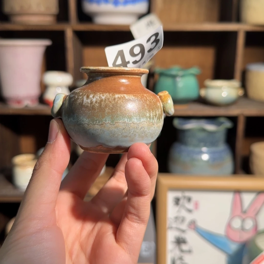 493 口2默认微瑕非偏远两单包邮