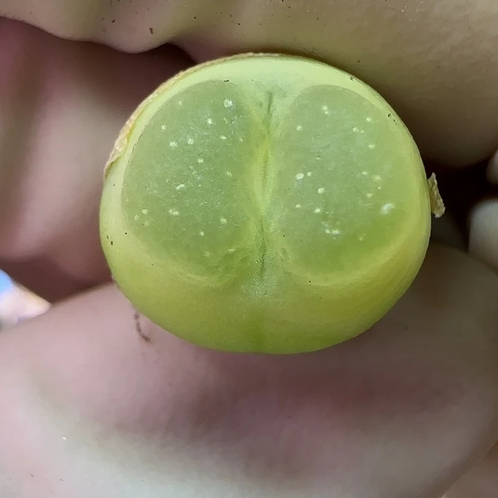 011福利福利福利1.3+