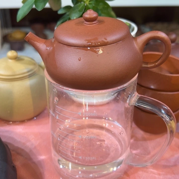 茶壶紫砂精工矮飘120cc