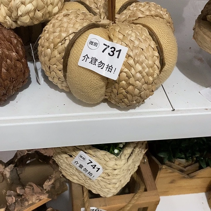 南瓜1111111111111