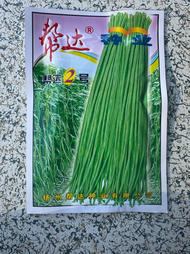 春秋种植帮达2号豇豆