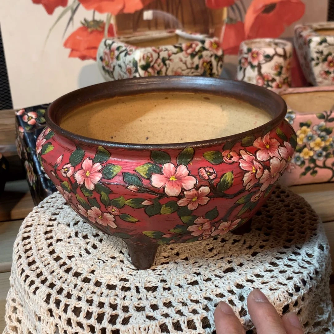 ?**雪飞雪酥皮鸭花盆发货多肉